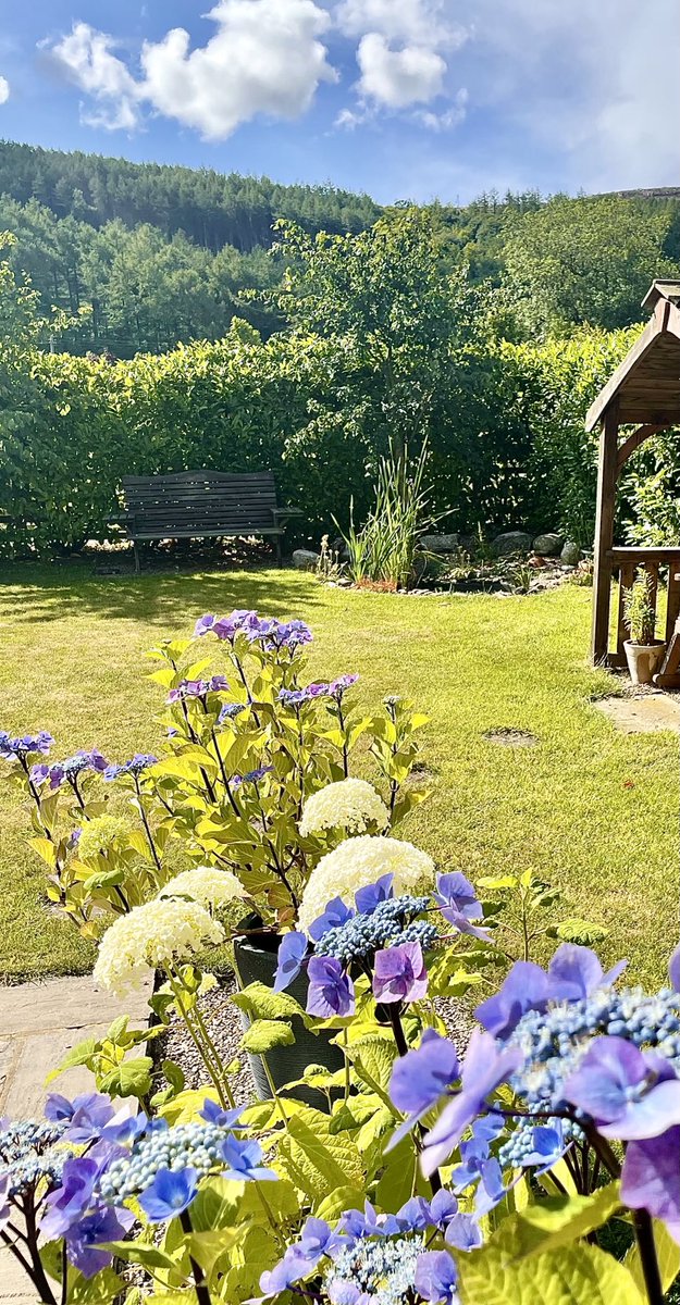 Nicky13Johnson's tweet image. Wishing you a happy new week from North Yorkshire 😊