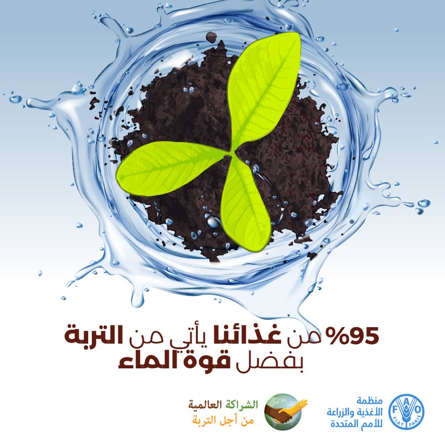 بالفعل 95٪ من غذائنا يأتي من #التربة 
#العمل_من_أجل_التربة