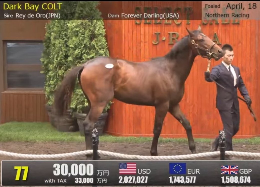 Jose Gregorio Arguinzones (@josegre38282441) on Twitter photo REY DE ORO en FOREVER DARLING por lo tanto medio hermano de FOREVER YOUNG se fue en 2 millones de dolares, ira a la cuadra del mismo Yoshito Yahagi <a href="/yahagistable/">矢作芳人厩舎【公式】</a>
<a href="/ALMAROSO/">ALMAROSO</a> <a href="/ESalazarHM22/">Enrique Salazar</a> <a href="/higvg/">Hermán Guanipa van-G</a> <a href="/luis_ernestocg/">Luis E. Caraballo G.</a> REY DE ORO en FOREVER DARLING por lo tanto medio hermano de FOREVER YOUNG se fue en 2 millones de dolares, ira a la cuadra del mismo Yoshito Yahagi <a href="/yahagistable/">矢作芳人厩舎【公式】</a>
<a href="/ALMAROSO/">ALMAROSO</a> <a href="/ESalazarHM22/">Enrique Salazar</a> <a href="/higvg/">Hermán Guanipa van-G</a> <a href="/luis_ernestocg/">Luis E. Caraballo G.</a>