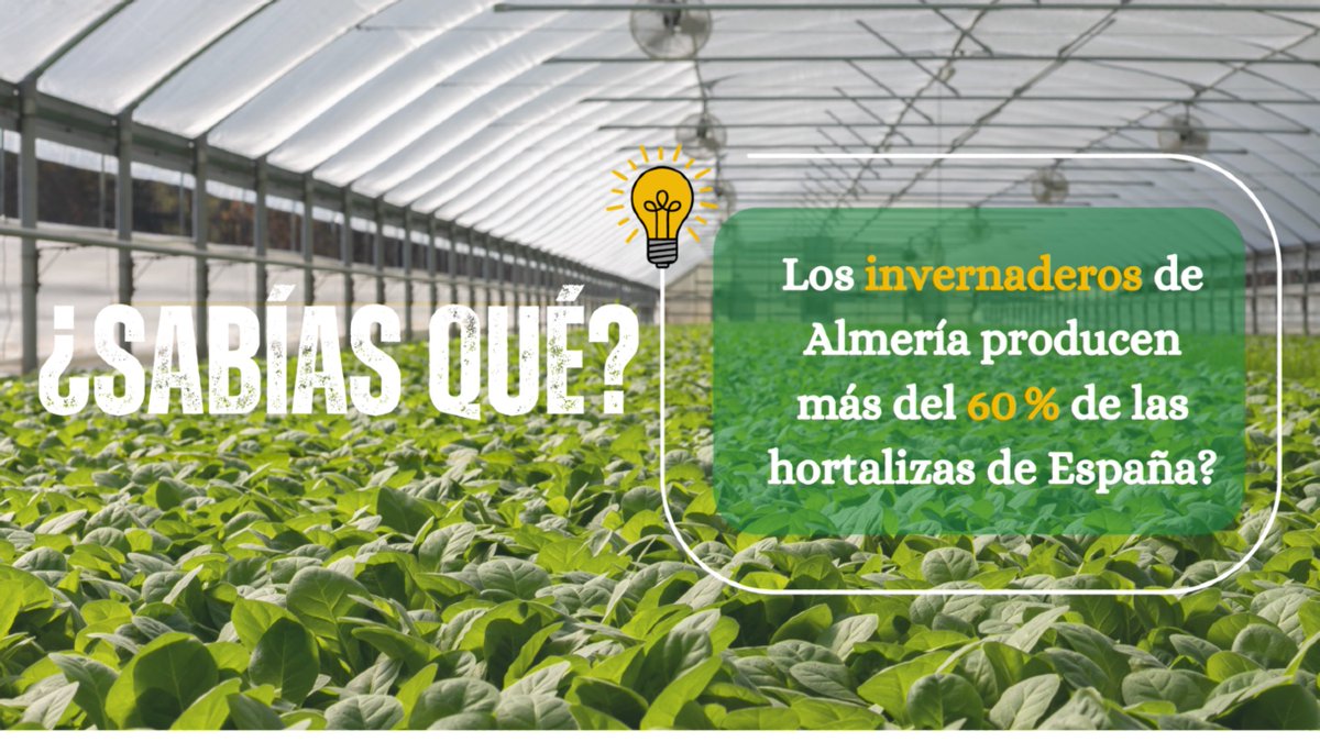 HortiDATA (@hortidata) on Twitter photo 🚀 Llega #HortiDATA2025, coorganizado con <a href="/DIHAndAgrotech/">Andalucía Agrotech DIH</a> , el evento clave sobre digitalización hortofrutícola:
✅ Presenta soluciones innovadoras
✅ Conecta con socios estratégicos
✅ Cierra acuerdos comerciales
📍+200 empresas ya han confiado. ¿Y tú?
#HortiDATANíjar 🚀 Llega #HortiDATA2025, coorganizado con <a href="/DIHAndAgrotech/">Andalucía Agrotech DIH</a> , el evento clave sobre digitalización hortofrutícola:
✅ Presenta soluciones innovadoras
✅ Conecta con socios estratégicos
✅ Cierra acuerdos comerciales
📍+200 empresas ya han confiado. ¿Y tú?
#HortiDATANíjar