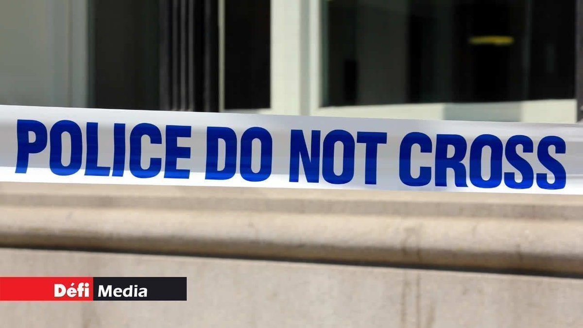 defimediainfo's tweet image. Khoyratty : une femme escroquée lors de la vente de sa voiture, un suspect de 34 ans arrêté dlvr.it/TLvRkq #escroquerie #voiture