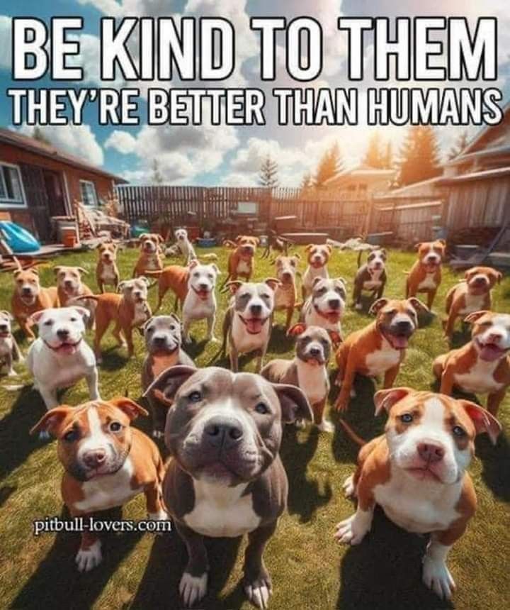 Beyond The Leash (@beyond_theleash) on Twitter photo 