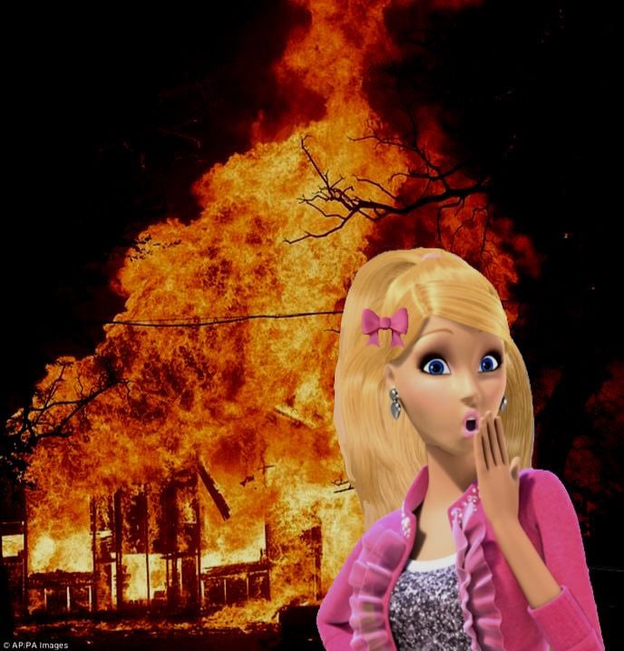 But babe, you said I should add a burn mechanism.