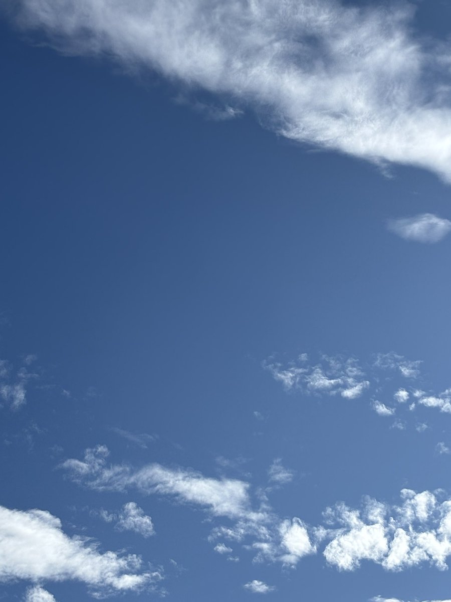 めっちゃ晴れてる☀️

夜は？？？
帰りは降るのかな🤔