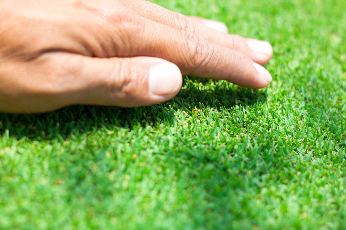 #openseatouchgrass
<a href="/opensea/">OpenSea</a>