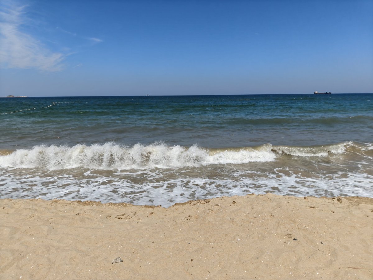 ImVillem's tweet image. back home