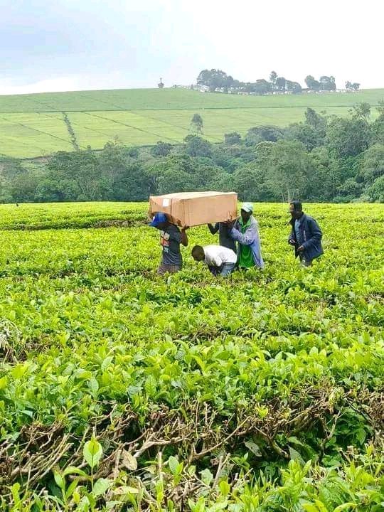 Wanasema kumi bila Barabara