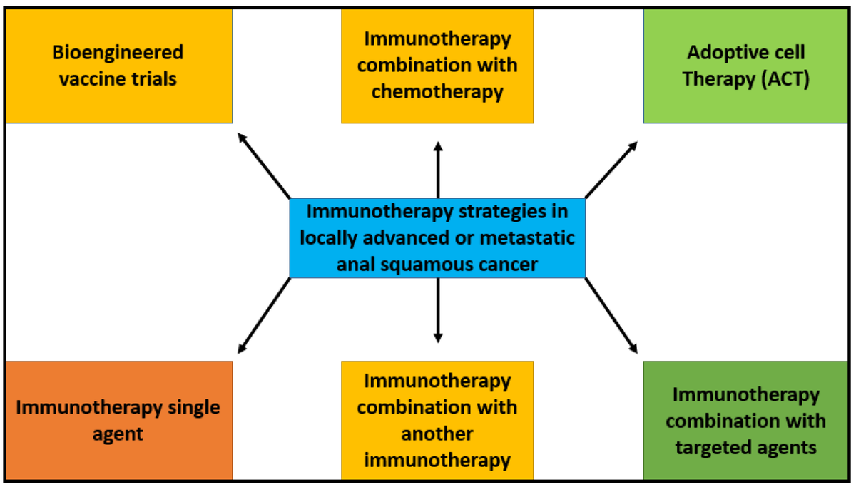 CurrentOncology's tweet image. π₯ #HighCitedPaper
βπ» Immunotherapy in Anal Cancer
Read more here π brnw.ch/21wU7v3
π Cited more than 10 times!
#Immunotherapy #AnalCancer #HPV