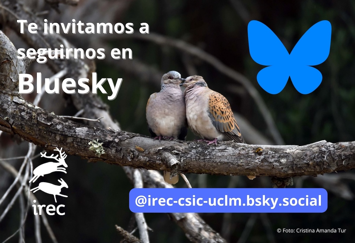 IREC_CSIC_UCLM's tweet image. La tendencia actual en X de fomentar la desinformación y despreciar la información basada en la evidencia científica contradice la integridad científica que suscribimos. Por ello, decidimos dejar de usar esta cuenta. Gracias por seguirnos, ¡nos vemos en otras redes sociales!