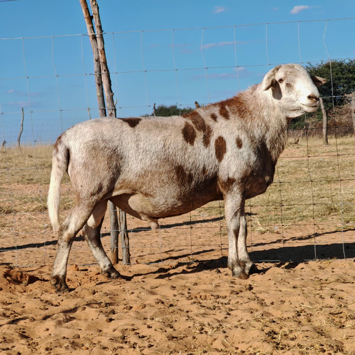 I'm focused tweet media