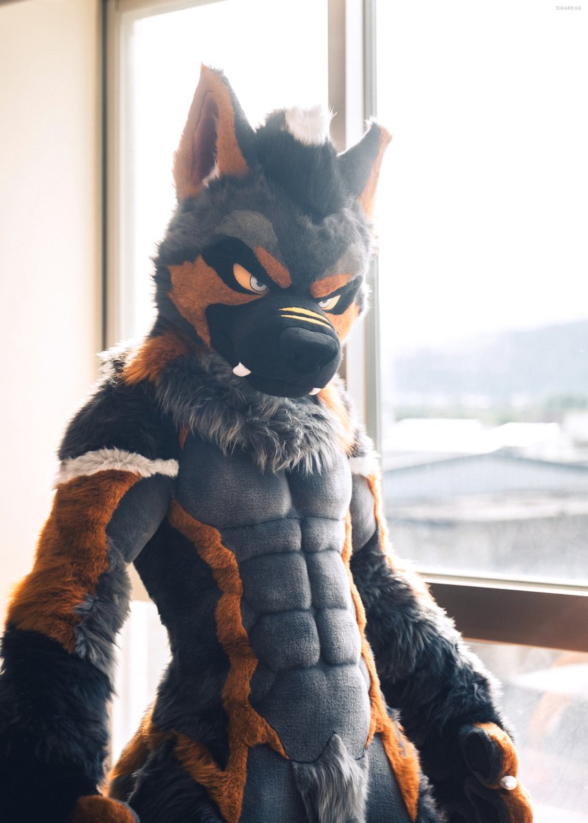AK-9 is born!💪🐶
Feel free to follow AK-9's X <a href="/AK9_GS/">AK-9</a> !
His future photos will be posted there👀

🪡 <a href="/kigurumikagetsu/">きぐるみ花月/Kigurumi Kagetsu</a>