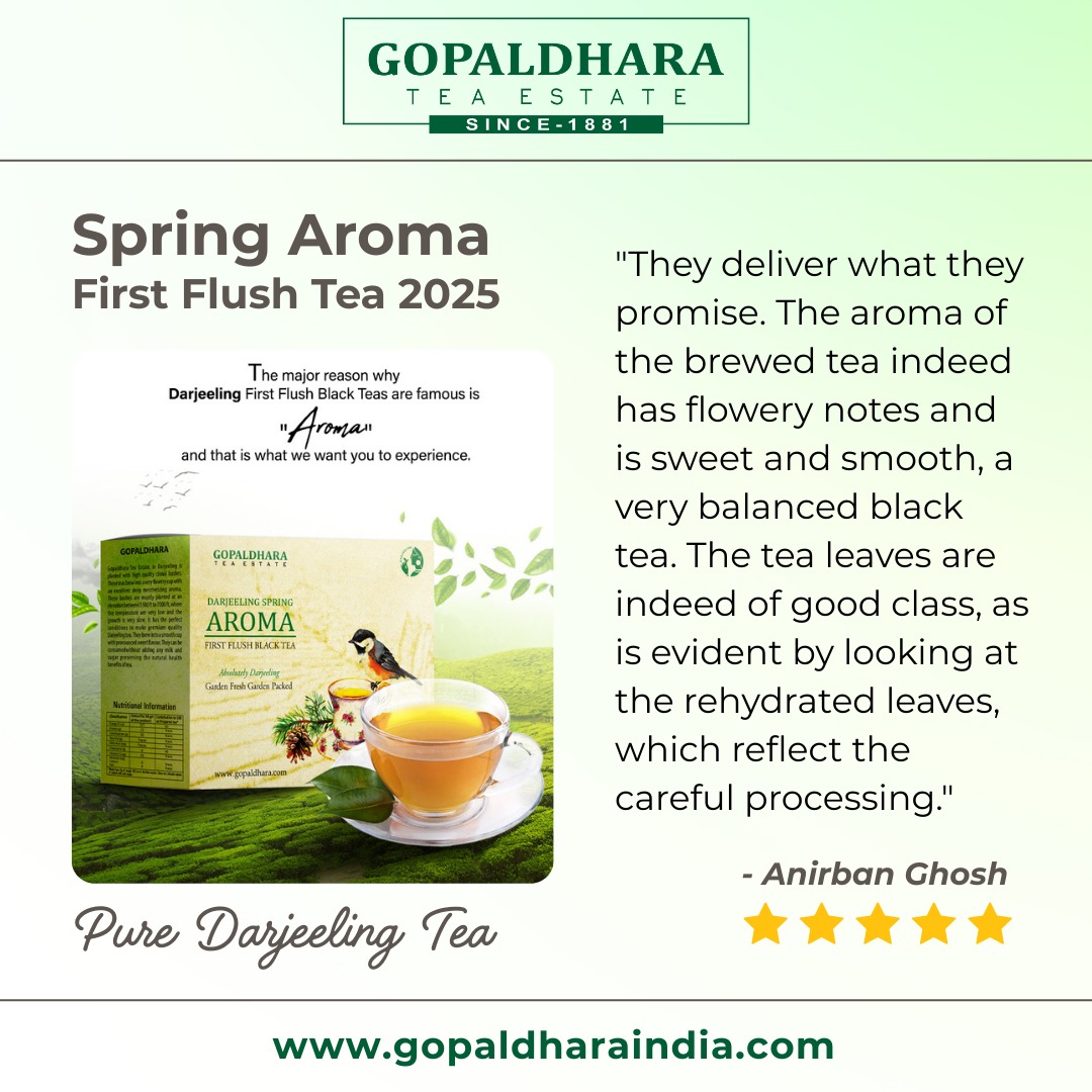 A huge thank you to Anirban Ghosh for sharing your Spring Aroma First Flush Tea 2025 experience! We’re delighted our flowery, smooth Darjeeling brew hit the mark—and we truly appreciate every one of our happy customers. Here’s to many more perfect sips together!