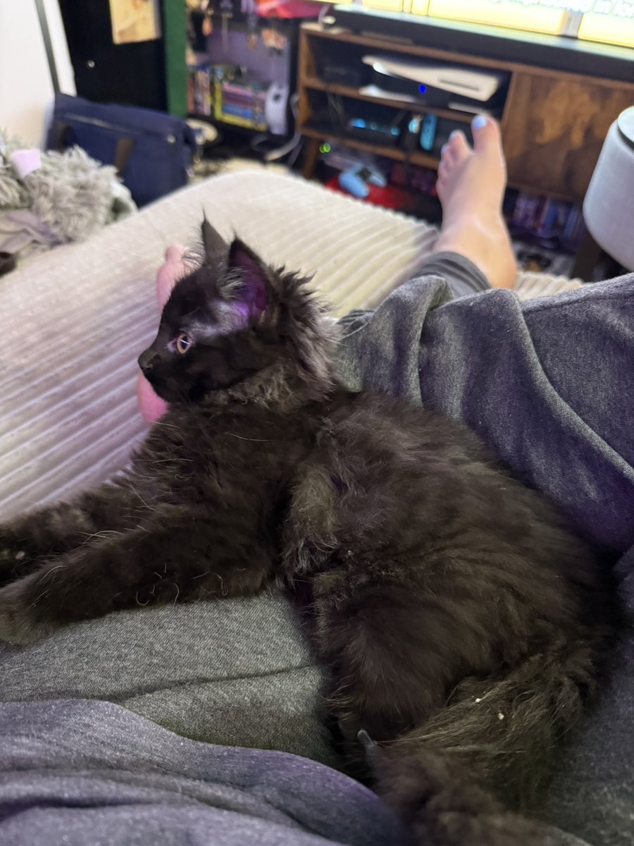 TheAzureCrow's tweet image. Watching Code Geass with a potato.