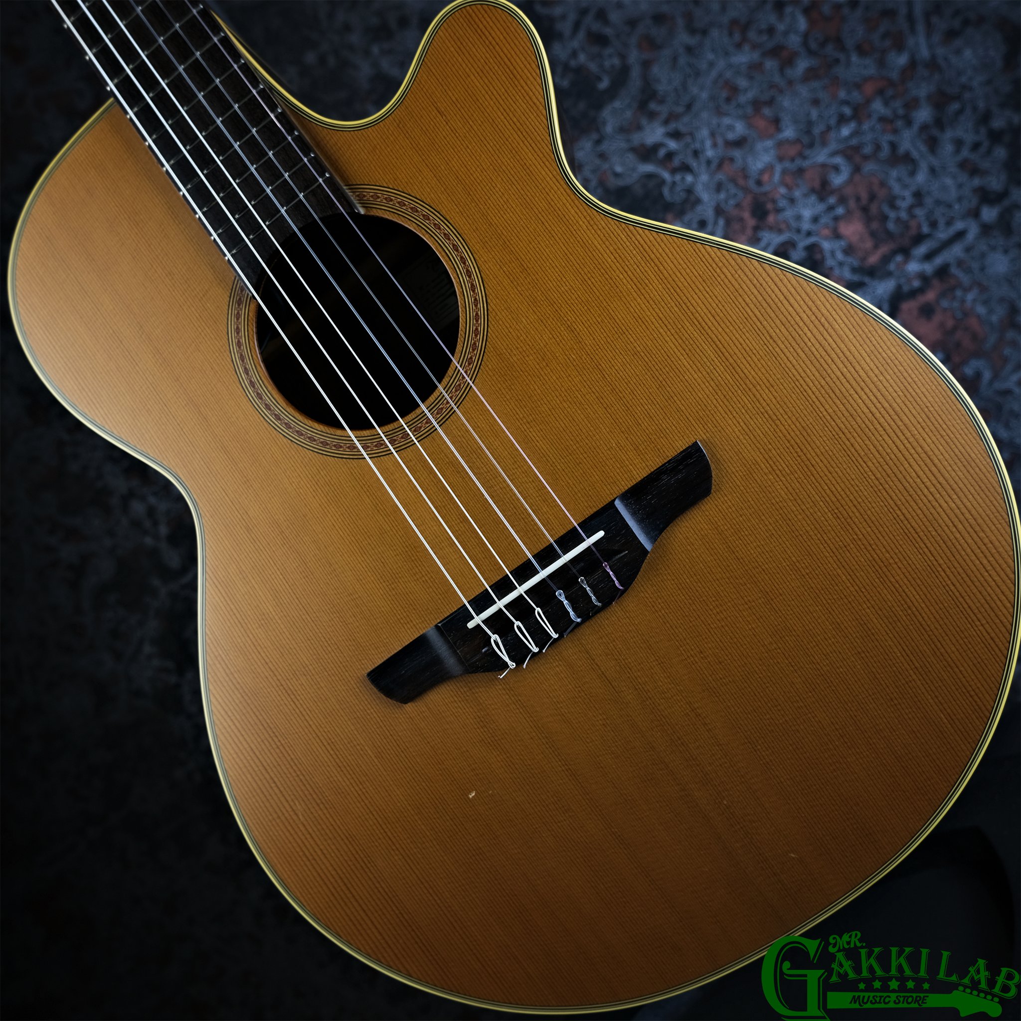 Takamine エレガット NPT110BN Takamine NPT-110 エレアコ/タカミネ/店頭/他モール併売《楽器