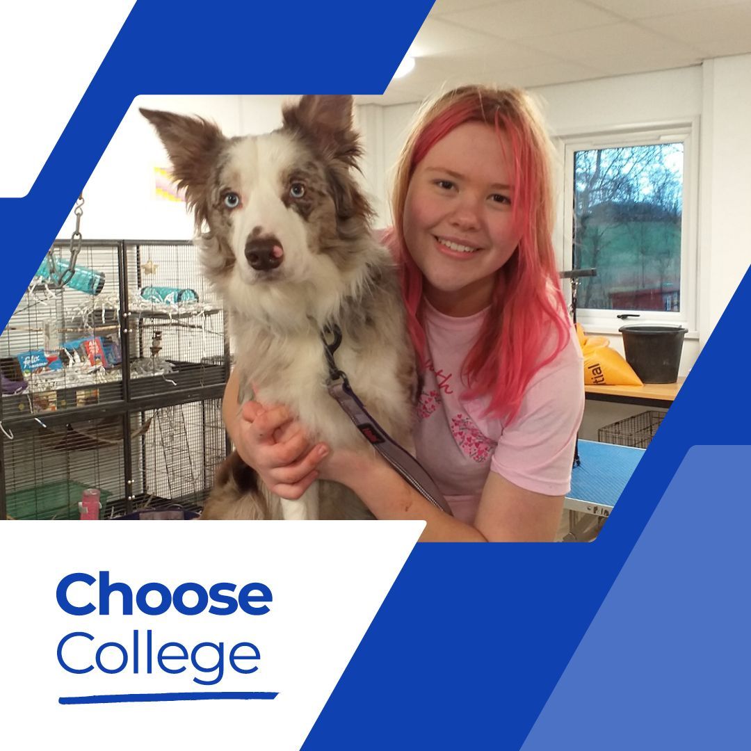 SRUC's tweet image. Thinking about your next steps after school? Gain the skills employers really value with a
college course! 

#ChooseCollege