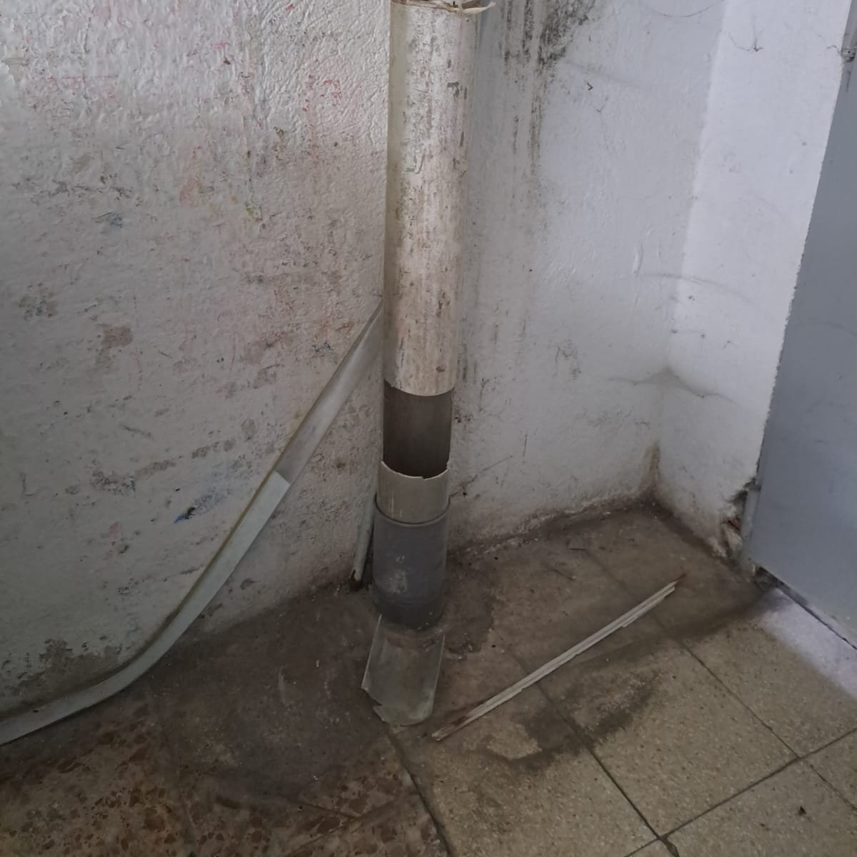 policiaMostoles's tweet photo. 🐾 Esta semana, rescatamos a un cachorro de gato atrapado en una bajante en coordinación con los #Bomberos. Su madre, que se mantenía cerca y atenta, ya ha podido reunirse con él 🐱.
#RescateAnimal #ProtecciónFauna #Móstoles #MedioAmbiente #Fauna #GREFA #BienestarAnimal https://t.co/zccd8o2nKR