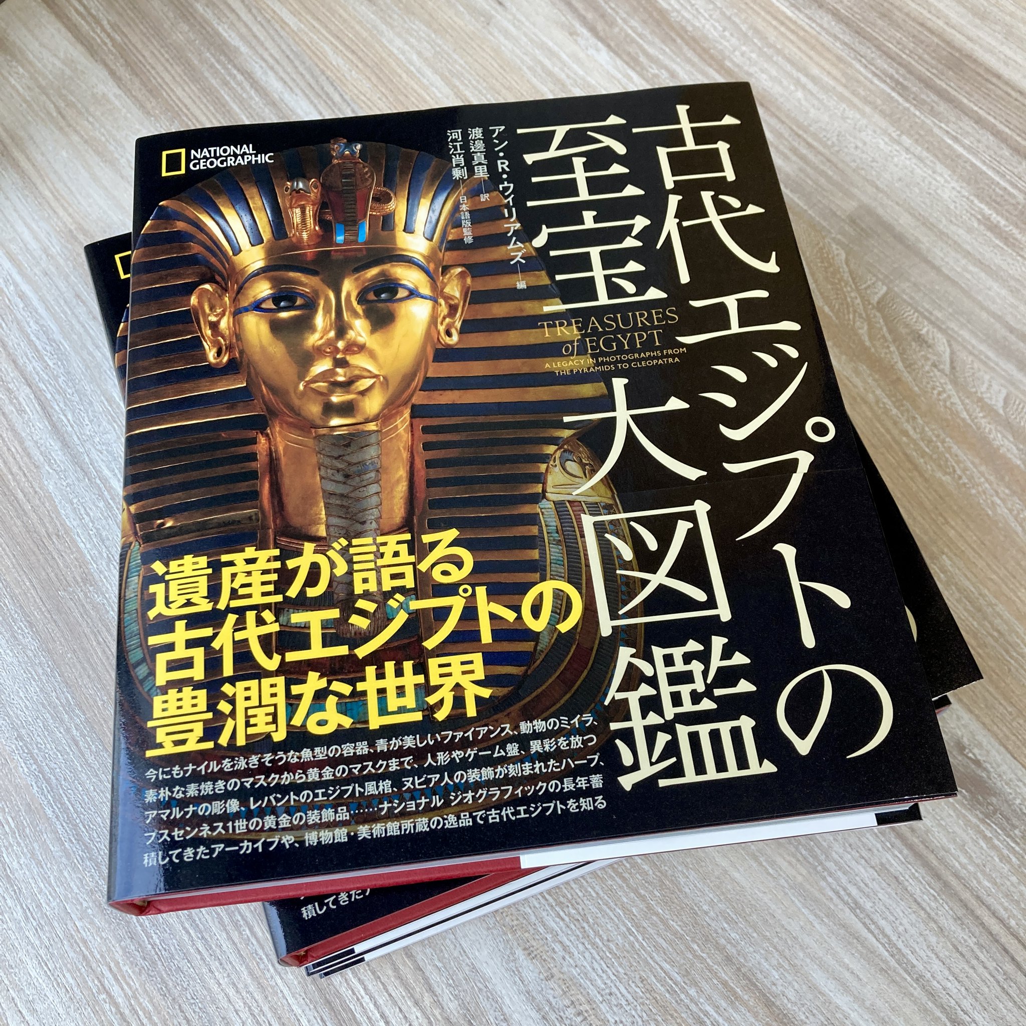 古代エジプト＆四大文明　DVD16点・関連書籍8冊・展覧会図録5冊　セット 古代エジプト＆四大文明 DVD16点・関連書籍8冊・展覧会図録5冊