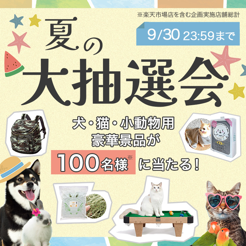 チャーム公式 в X: „🎯抽選で100名様に豪華景品が当たる ＼✨今年も