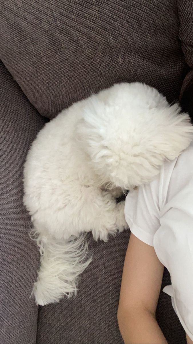 Derbsowler's tweet image. Some days, therapy is just letting yourself be