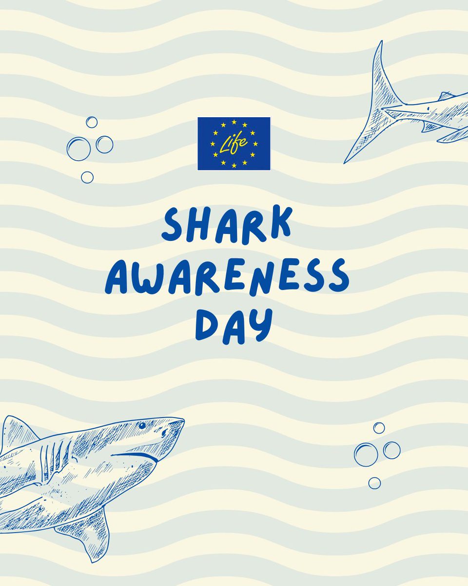 LIFE Programme (@lifeprogramme) on Twitter photo Today is #SharkAwarenessDay🦈
40% of the world’s 1,000+ shark and ray species are threatened with extinction.
#LIFEProject <a href="/LifeEUsharks/">European Sharks - a LIFE project</a> is working to fight their decline by changing perceptions & promoting sustainable coexistence practices💙
More here➡️europa.eu/!4Xcv6c Today is #SharkAwarenessDay🦈
40% of the world’s 1,000+ shark and ray species are threatened with extinction.
#LIFEProject <a href="/LifeEUsharks/">European Sharks - a LIFE project</a> is working to fight their decline by changing perceptions & promoting sustainable coexistence practices💙
More here➡️europa.eu/!4Xcv6c