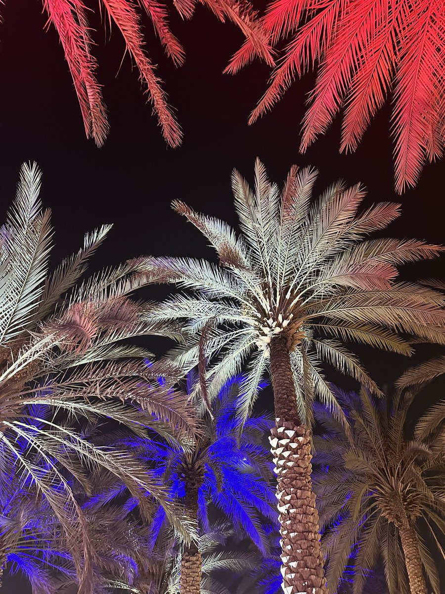 -bonne fêté nationale 🇫🇷 

📍 <a href="/FranceinKSA/">La France en Arabie</a>