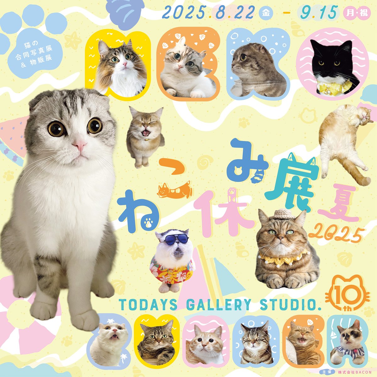 《ねこ休み展 夏 2025出展のお知らせ》

久しぶりのイベント、そして初の『#ねこ休み展』です🐈
委託で参加します。

◼︎会期　2025年8月22日(金)～9月15日(月・祝)
◼︎時間    平日11:00~17:00/土日祝11:00~18:00
　　　　※月曜日定休
◼︎会場　TODAYS GALLERY STUDIO.（東京・浅草橋）