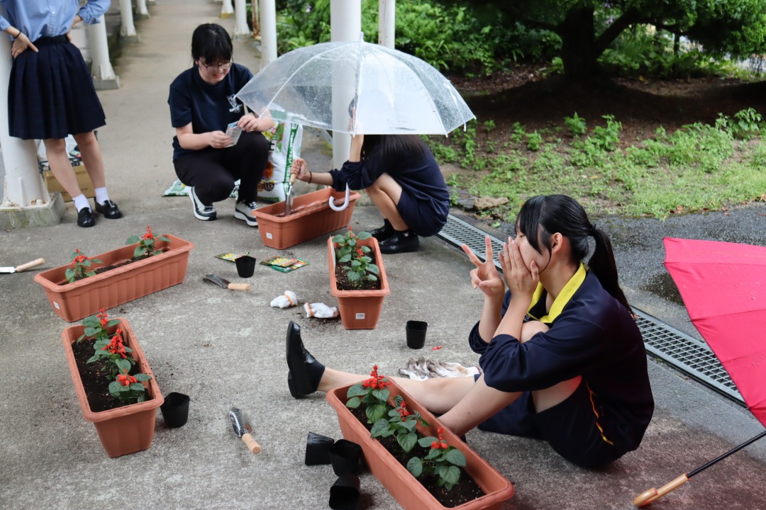 saijyoshisui_h's tweet photo. 【保健美化委員会:花植え】
プランターは生徒玄関に設置。種も植えたので、きれいに咲いてほしいな~🌸
#サルビア #ミニひまわり #百日草 #朝顔 #西城紫水 #西城紫水の日常 #地域みらい留学 #西城町 #紫水高校応援隊 #紫水高校が好き #japan #hiroshima #high_school https://t.co/BLPAmSlnTh