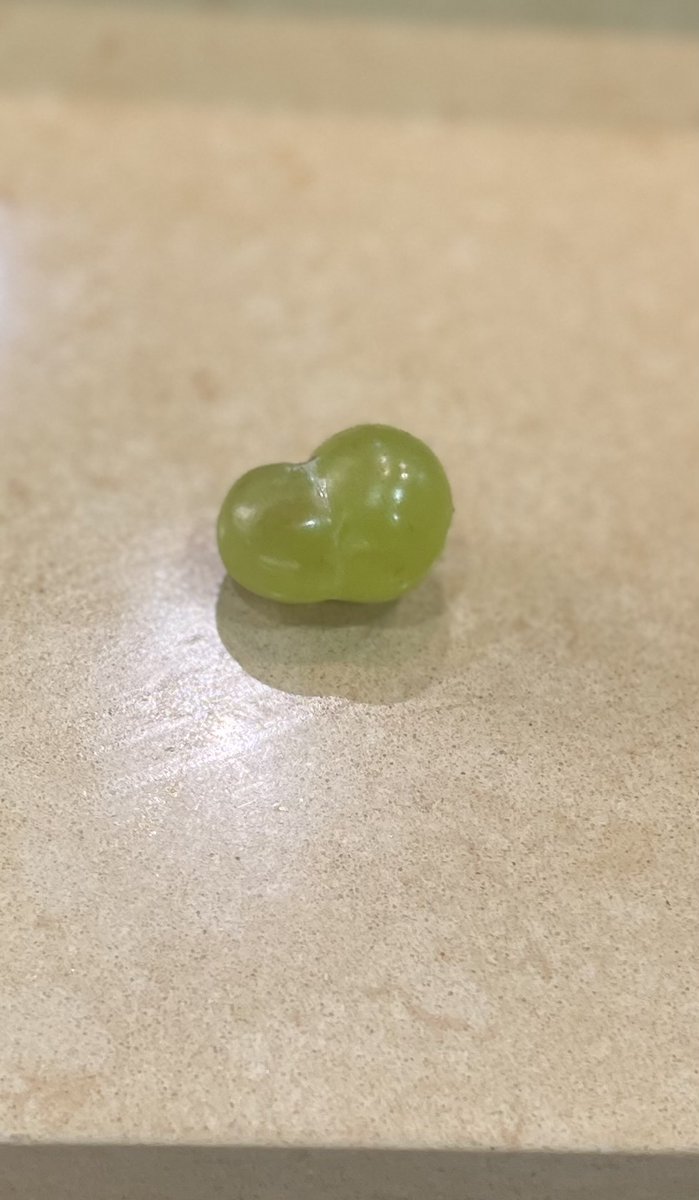 🎤5 Jokes About the Same Thing 🍇
1. When did grapes start getting BBLs?
2. This grape got a Miami doctor &amp; a dream.
3. Grapes out here built like a video vixens.
4. This grape didn’t come from a vine, it came from a surgeon.
5. I think I found the first grape with an OnlyFans.