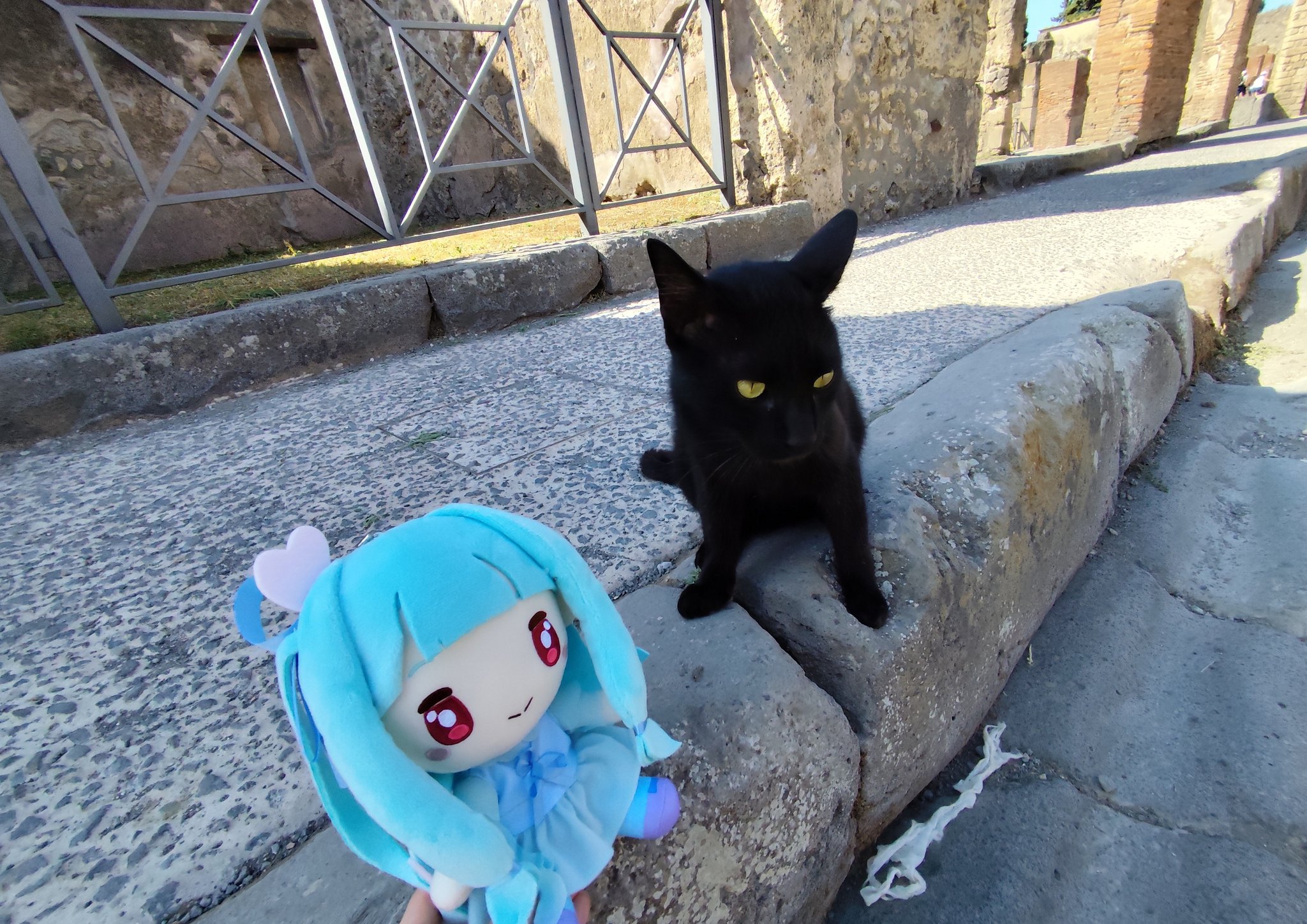 めぐめぐ•*¨*•.¸♬︎★のびねこ★こーば(*ΦωΦ) めぐめぐ•*¨*•.¸♬︎★のびねこ★こーば(*ΦωΦ)