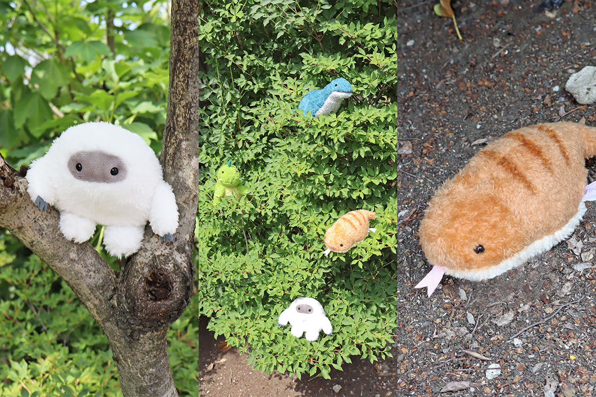 人気のぽちゃまるシリーズにブルーブルーエオリジナルの「UMA(未確認