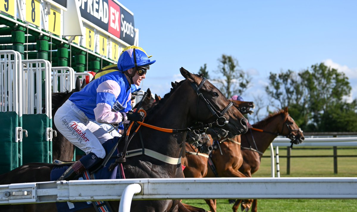 Bath Racecourse (@bathracecourse) on Twitter photo Going report for Wednesday's fixture:
FIRM
Excellent grass coverage
Showers possible this afternoon 1-4mm
Rain expected tomorrow 4-8mm likely
Race day dry
We have 6 races from 2.20pm and it's <a href="/wbairambulance/">Wiltshire and Bath Air Ambulance Charity</a> Charity Race Day - tinyurl.com/33vxskdc Going report for Wednesday's fixture:
FIRM
Excellent grass coverage
Showers possible this afternoon 1-4mm
Rain expected tomorrow 4-8mm likely
Race day dry
We have 6 races from 2.20pm and it's <a href="/wbairambulance/">Wiltshire and Bath Air Ambulance Charity</a> Charity Race Day - tinyurl.com/33vxskdc