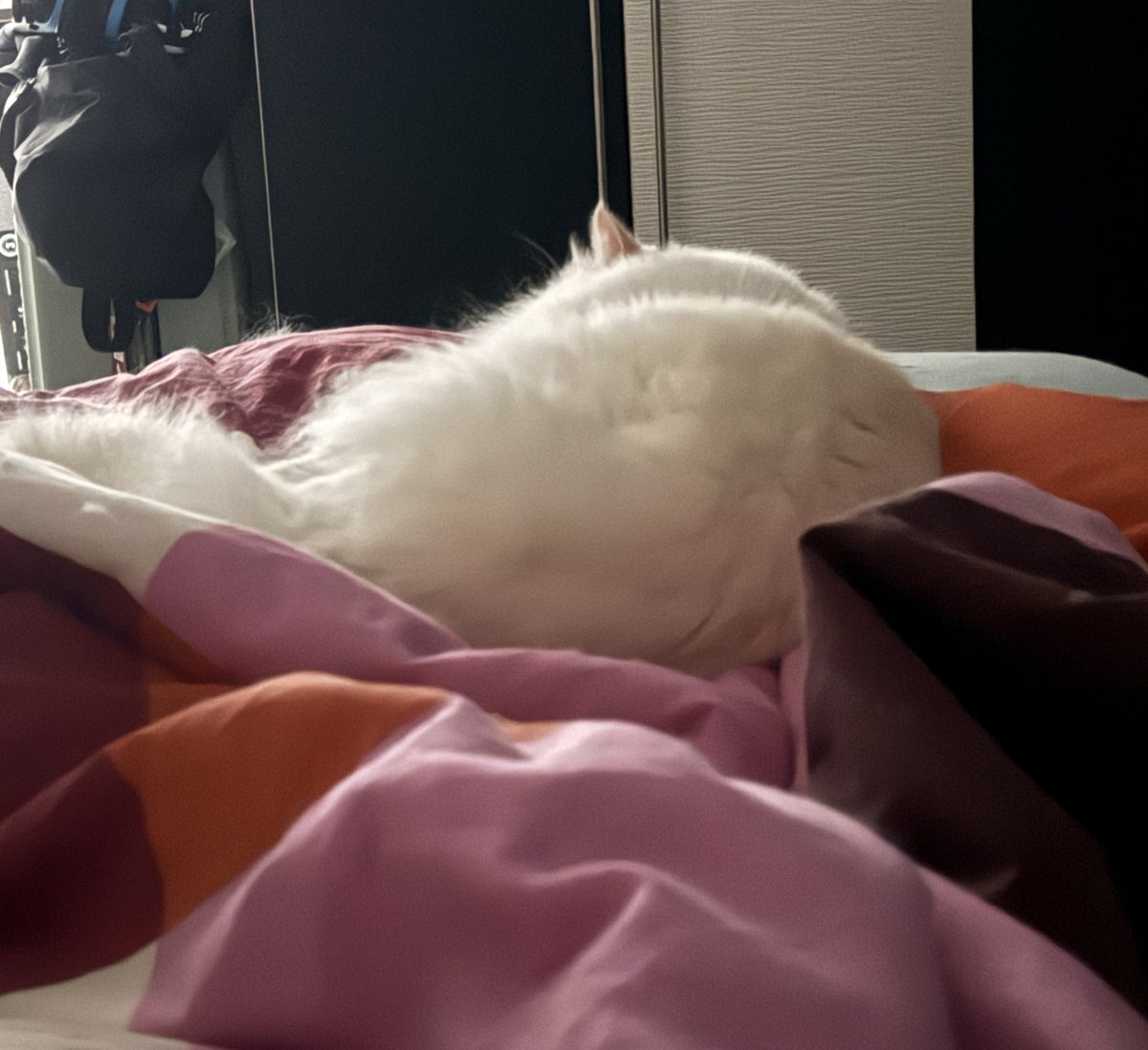 SeryliaVT's tweet image. Guten Morgen und einen schönen Start in die neue Woche!
Diese beiden Chaoten haben mich nicht schlafen lassen, also muss ich das jetzt nachholen 😀 💤