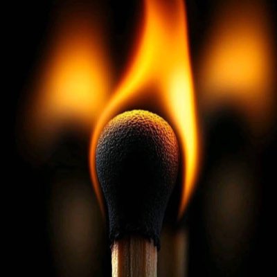 Strongholdburna's tweet photo. #NewProfilePic https://t.co/iKVdUhSe2F