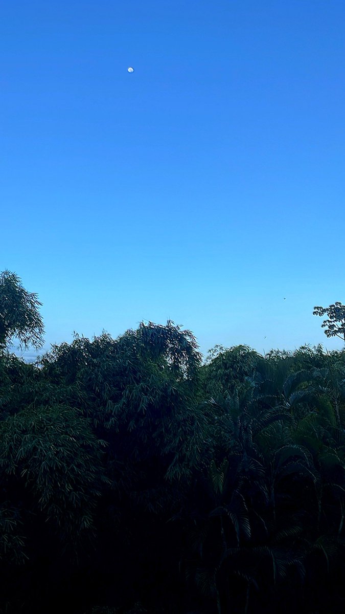 Inicio de semana. Con los buenos días. #DesdeElOasis