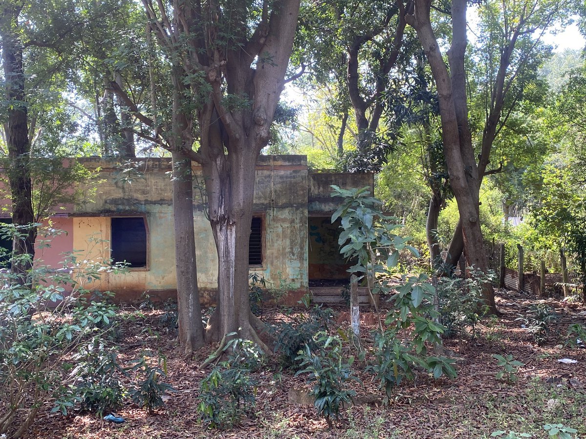 amaruvi's tweet image. Neyveli’s township, built in the 1960s by East German engineers, has underground drainage and waterlines. Despite being lush with rain trees, the houses are functional even today. However, the Neyveli Corporation plans to demolish them and install solar panels. Why do bureaucrats…