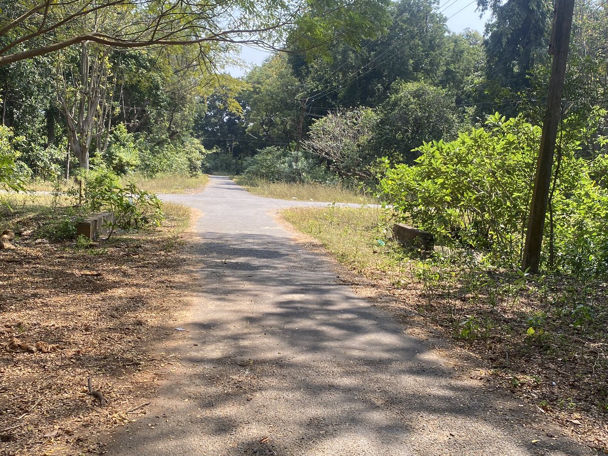 amaruvi's tweet image. Neyveli’s township, built in the 1960s by East German engineers, has underground drainage and waterlines. Despite being lush with rain trees, the houses are functional even today. However, the Neyveli Corporation plans to demolish them and install solar panels. Why do bureaucrats…