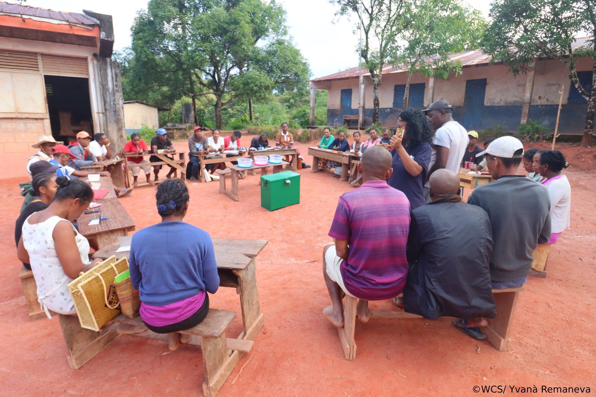 WCS_Mada's tweet image. ππππ, a historic first in Marovovonana !
With @VillageEnterprise & Sustainable Wildlife Management (SWM) program, 29 members start saving & growing together π±
#WCSMadagascar