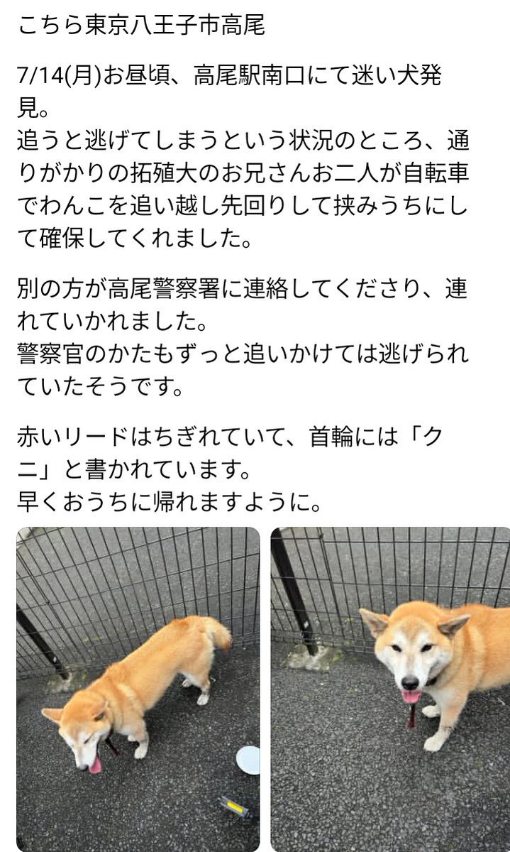 monon_11's tweet image. 迷い犬が保護されました！
飼い主さん早く見つかりますように🙏

threads.com/@seikouudoku20…