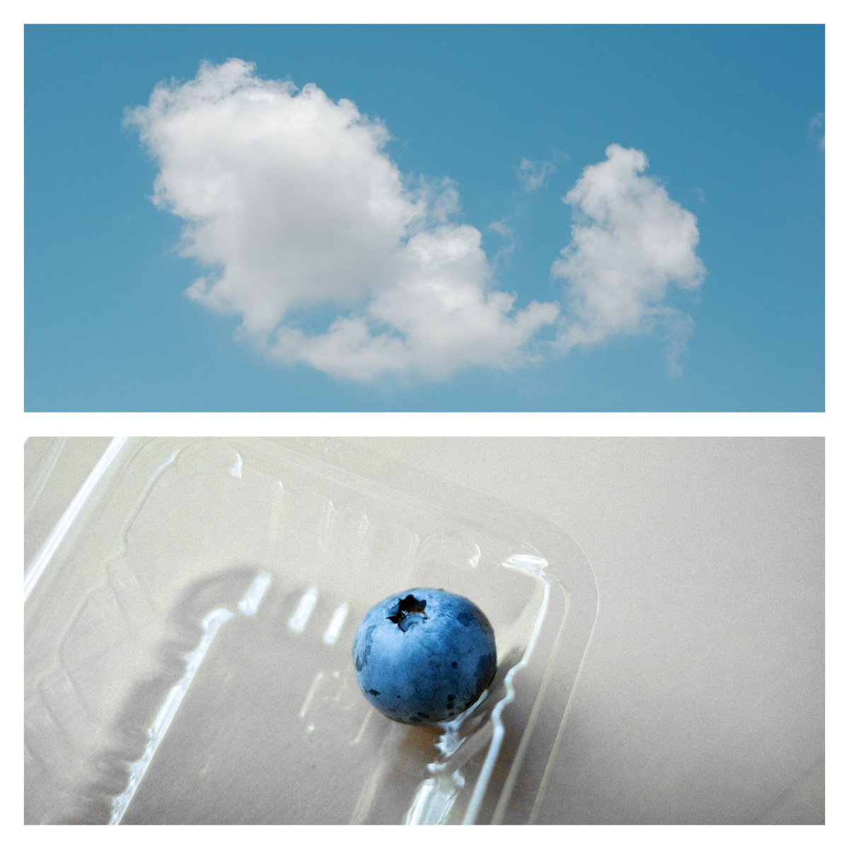 x_ct8n's tweet image. blueberry