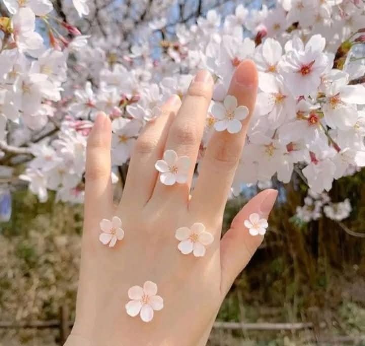 وقت نے سب کچھ سکھایا 🥀
پر وقت پر نہیں سکھایا 🍂