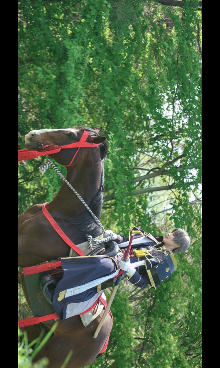 ＊ cosplay ＊
【 刀剣乱舞 / へし切長谷部 】

　　─ 幕間 ─

撮影 - 蓮矢さん(<a href="/renya1220_konoe/">蓮矢⸜(⚯)⸝👊</a>)

#旅人牧舎 さん