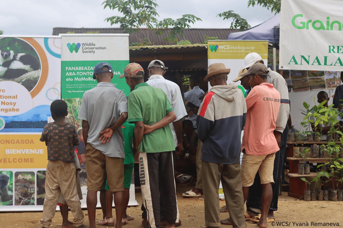 WCS_Mada's tweet image. πΈBack to image : On June 19, under the auspices of Madagascar National Parks, alongside conservation actors from Maroantsetra, we celebrated the World Environment Day with a booth, reforestation, lunch, and activities.β―
Thanks to all the participants !
#EnvironnementDay2025
