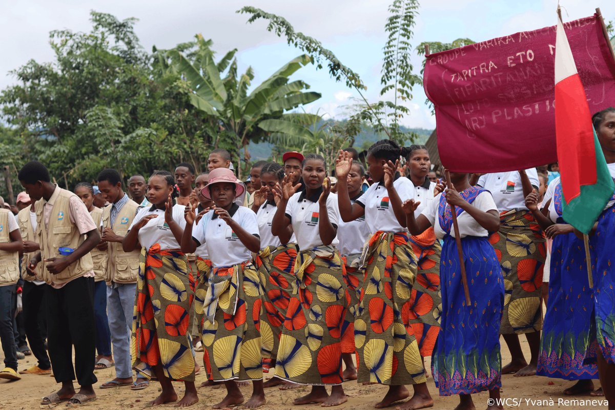 WCS_Mada's tweet image. πΈBack to image : On June 19, under the auspices of Madagascar National Parks, alongside conservation actors from Maroantsetra, we celebrated the World Environment Day with a booth, reforestation, lunch, and activities.β―
Thanks to all the participants !
#EnvironnementDay2025