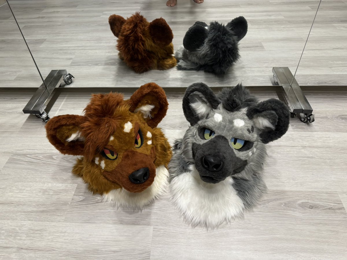 AkuWolf's tweet image. AT