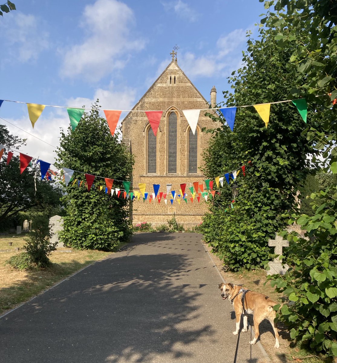 Dog walk scene 14.7.25