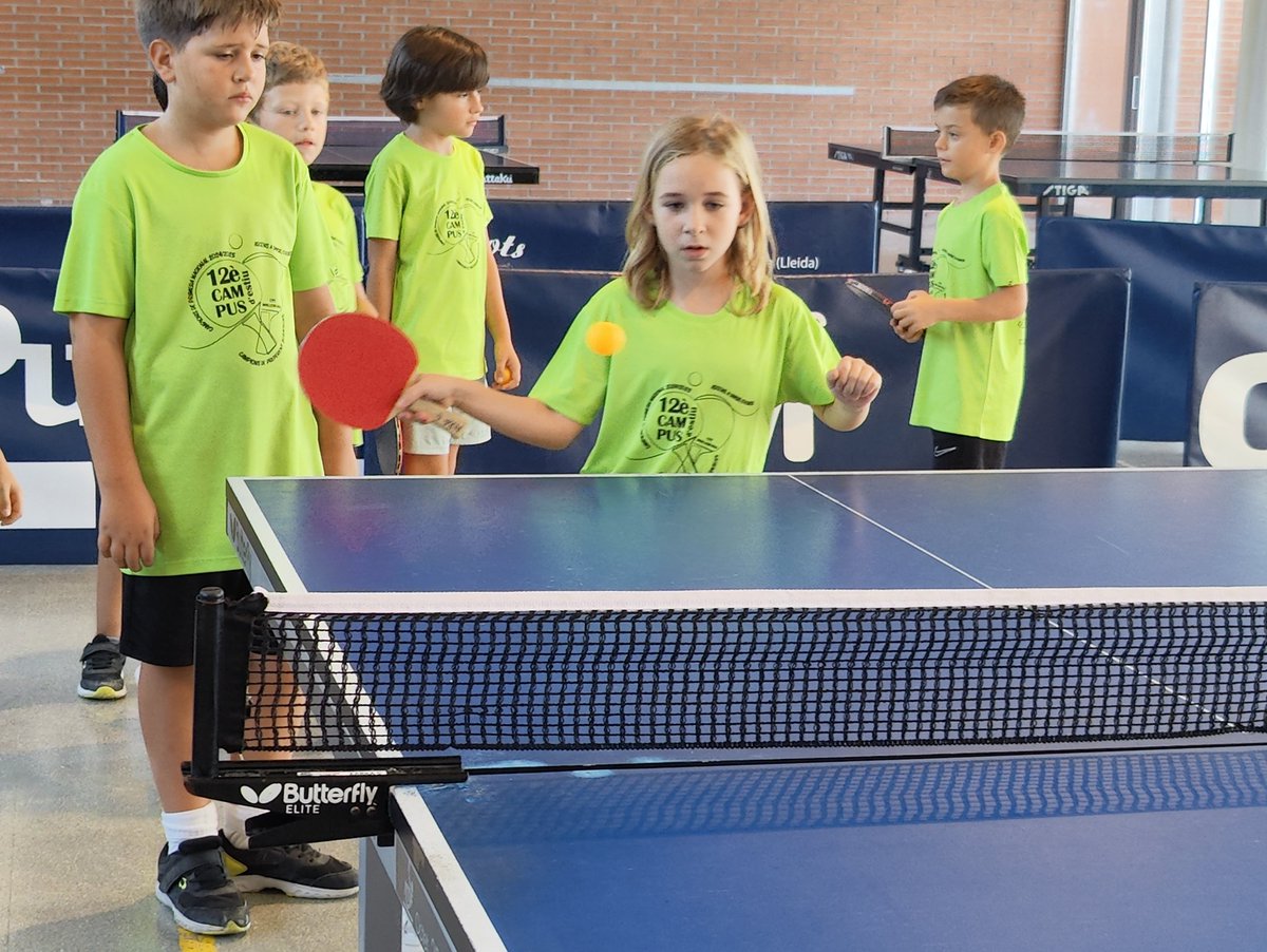 🏓 Inici de la segona setmana del campus d'estiu 

➡️ Fins a 18 nens i nenes han començat les activitats dins i fora de la taula amb molta energia i ganes d'aprendre el nostre esport!