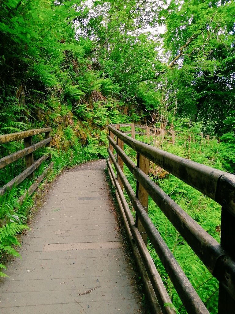 Love this sunshine 🌞 Summer in the UK, N.I 🌿⛲️🌼⚘️