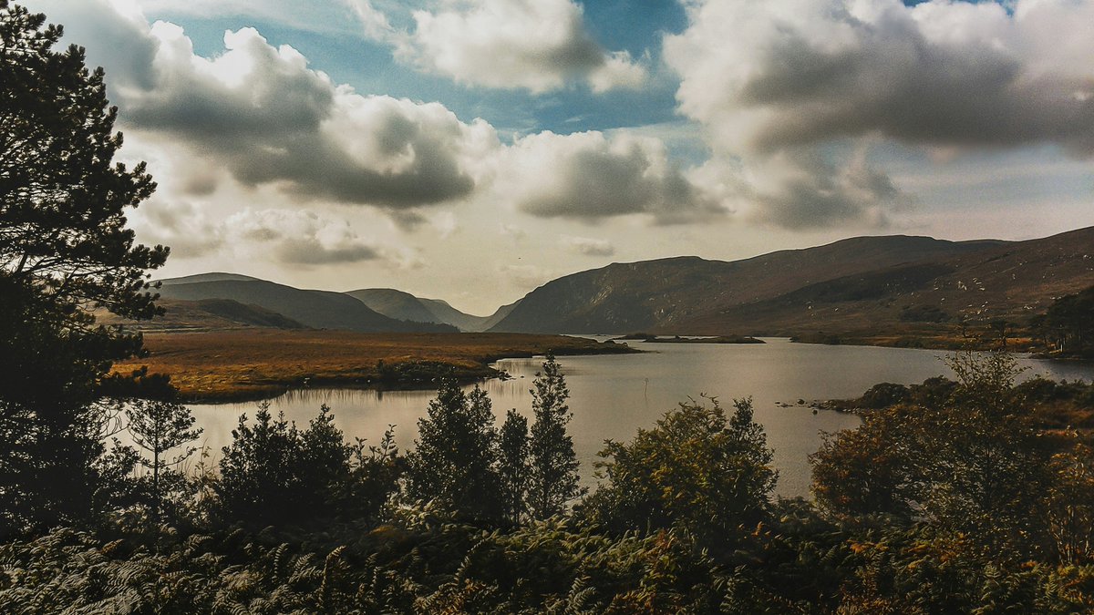 Esta foto es del Parque Nacional de Glenveagh, en el norte de Irlanda. Bosques prístinos, montañas, abundante agua, cielo limpio. Pero hay algo que falta. Algo que dominó estos cielos por siglos. 

Las águilas reales desaparecieron de aquí.

🧵...