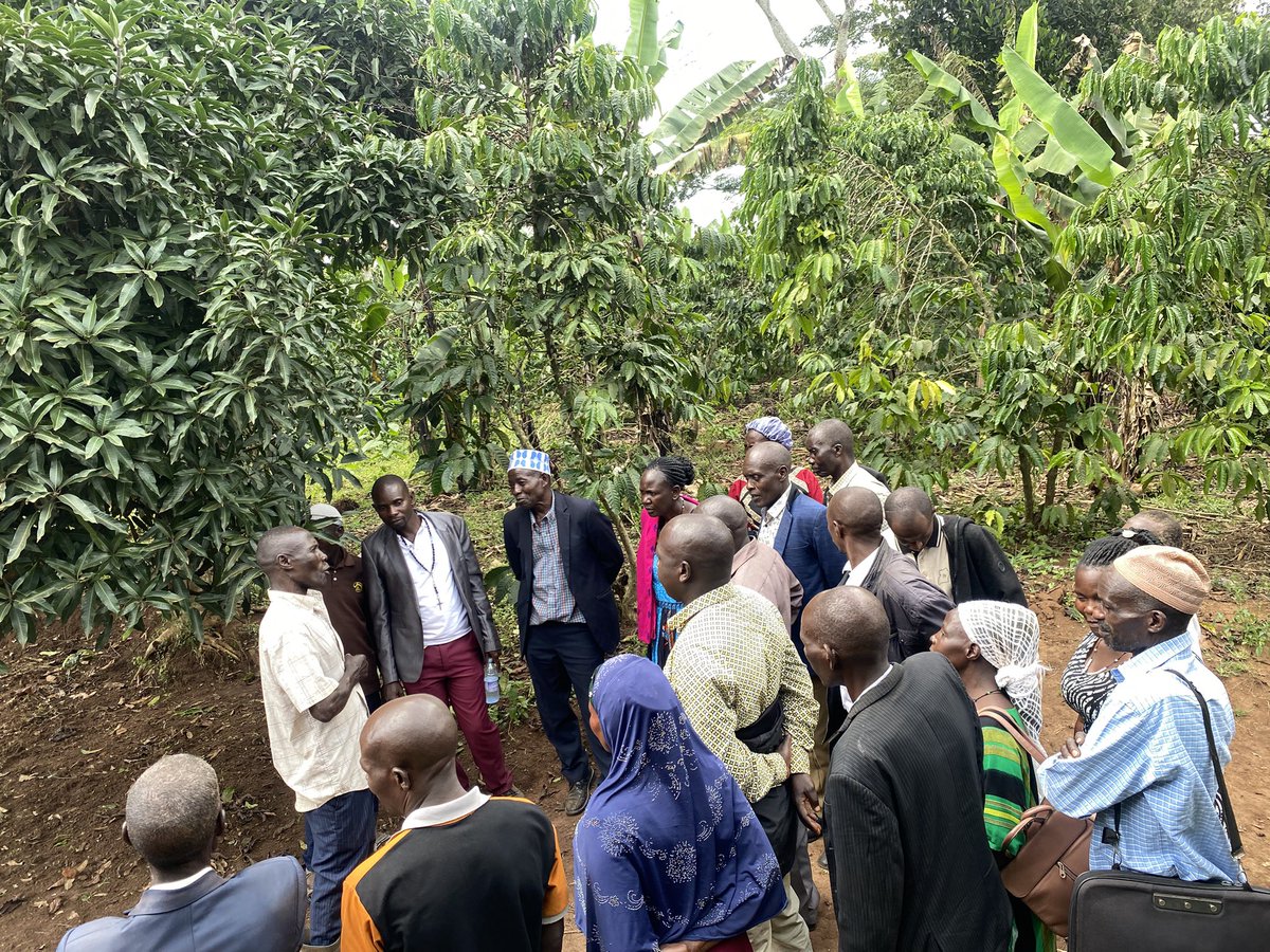 Uganda Coffee Farmers Alliance (UCFA) tweet media