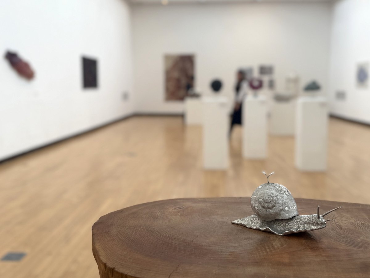 〖本日まで〗

#工芸 総合演習2025「Message」

学生らが、素材や技法の組み合わせにも挑戦しつつ、作品制作の目的や「見せる・贈る」対象を意識し、
素材と技法から生み出されるメッセージの表現に半年間チャレンジしてきた成果を是非ご高覧ください。

#東京藝術大学 #工芸科